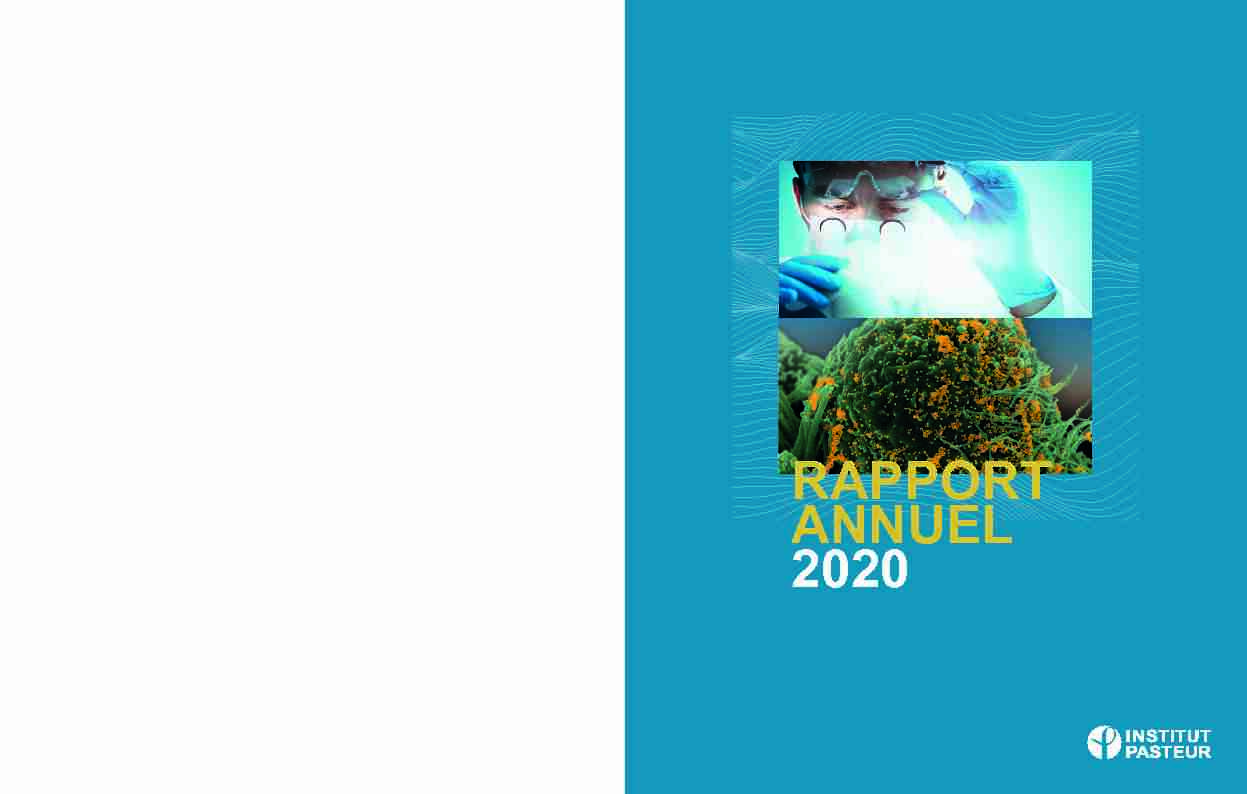 RAPPORT ANNUEL 2020