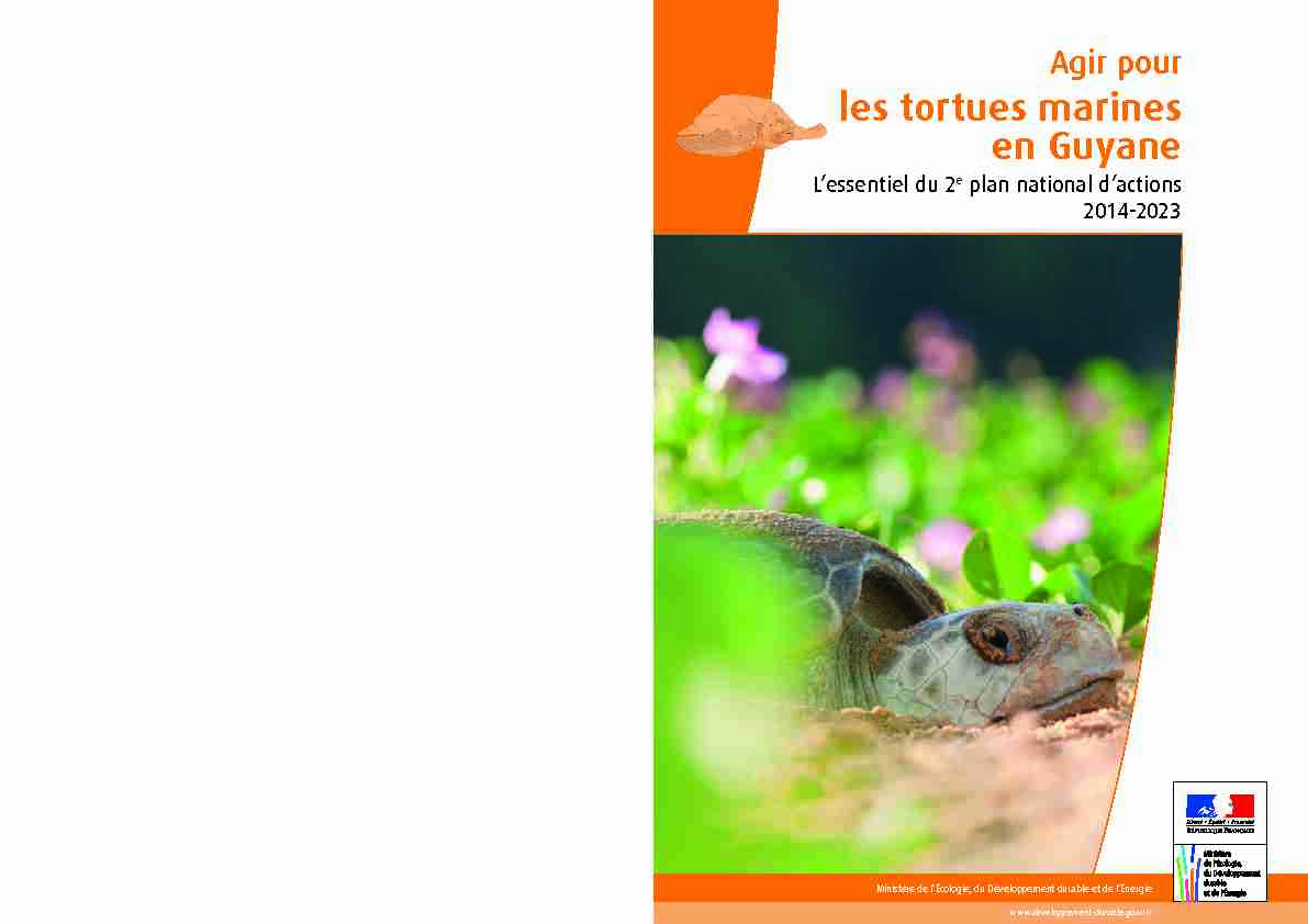 [PDF] les tortues marines en Guyane