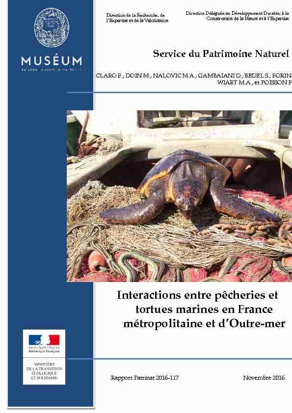 Interactions entre pêcheries et tortues marines en France