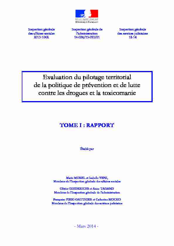 [PDF] Evaluation du pilotage territorial de la politique de prévention et de