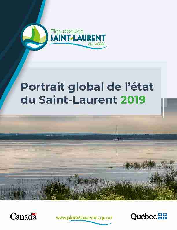 Portrait global de létat du Saint-Laurent 2019.