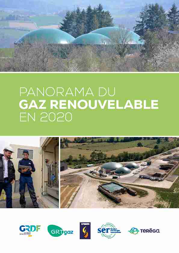 PANORAMA DU GAZ RENOUVELABLE EN 2020