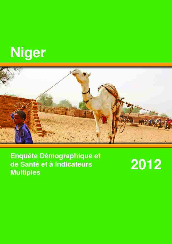 Niger Enquête Démographique et de Santé et à Indicateurs