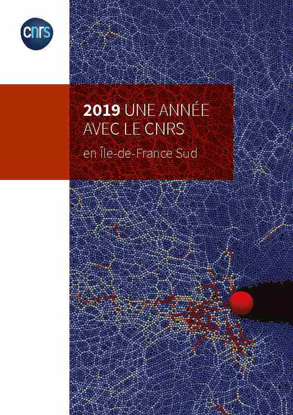 2019 UNE ANNÉE AVEC LE CNRS