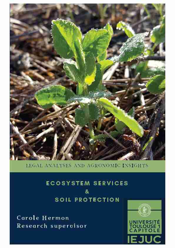 Ecosystem services and Soil protection. Legal analyses and