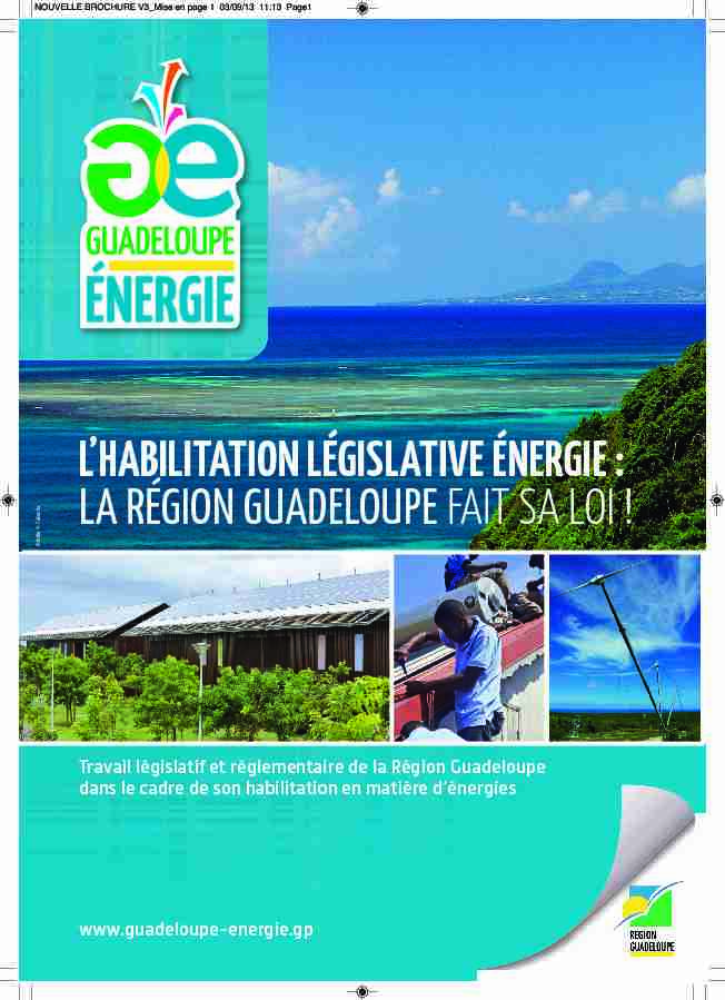 lhabilitation législative énergie : la région guadeloupe fait sa loi