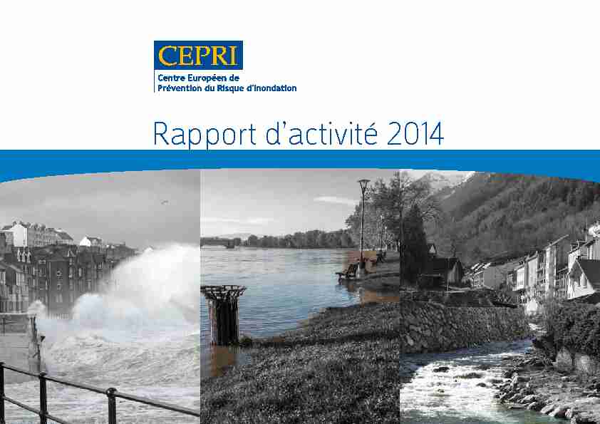 Rapport dactivité 2014