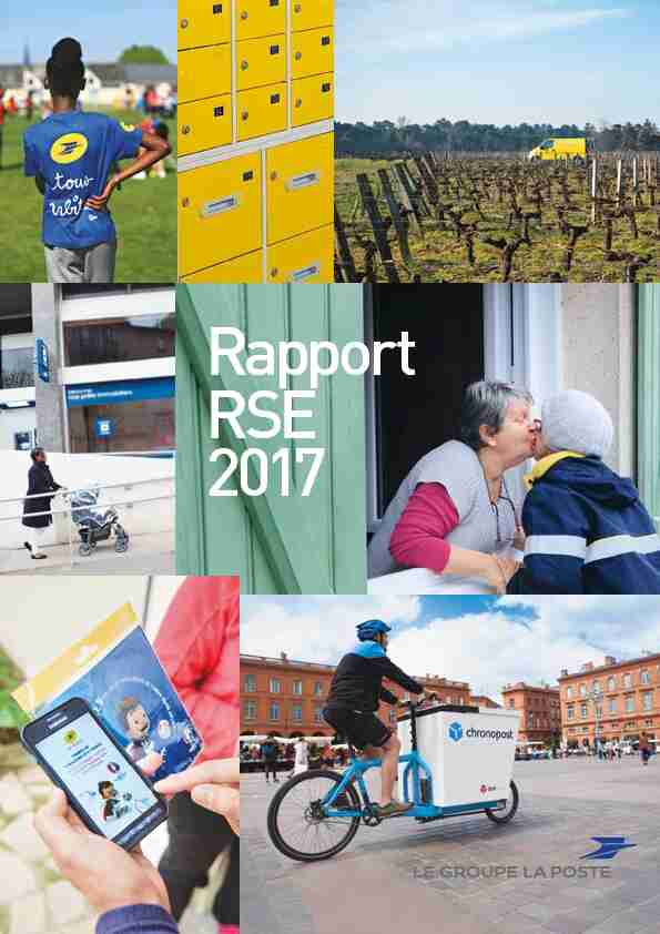 Rapport RSE 2017