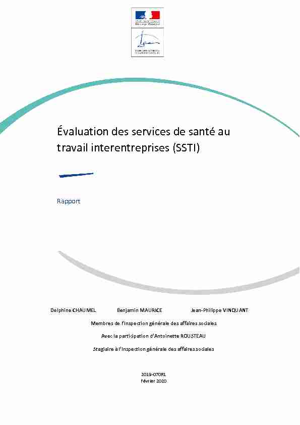 [PDF] SSTI - Inspection générale des affaires sociales