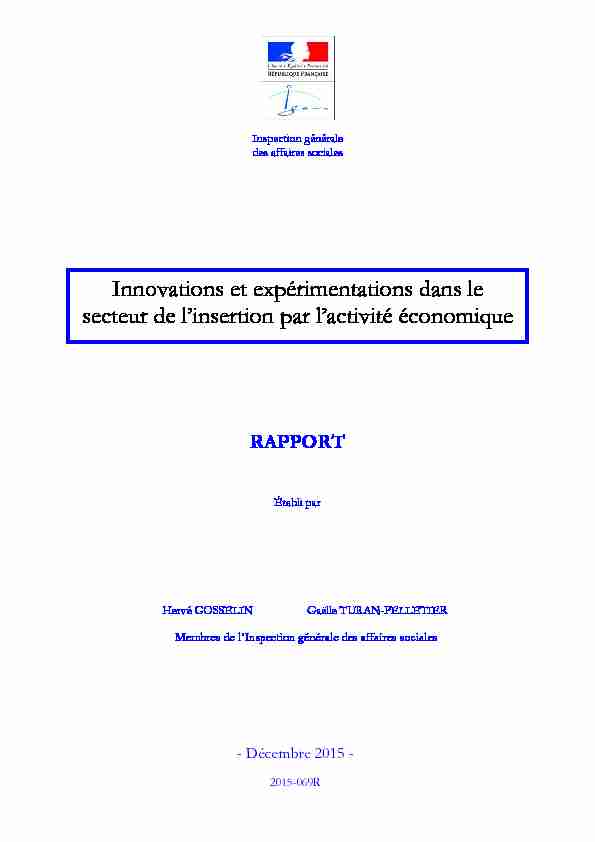 [PDF] Innovations et expérimentations dans le secteur de linsertion par l
