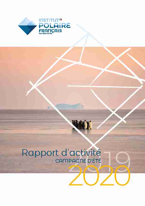 Rapport dactivité 2019-2020
