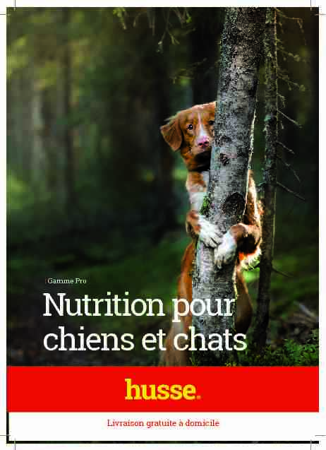 Nutrition pour chiens et chats