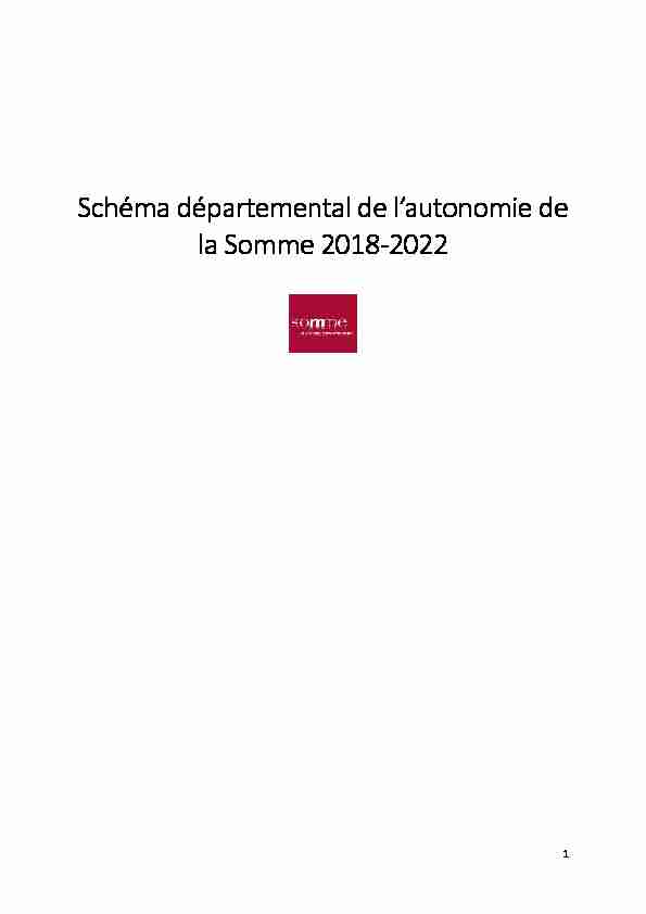 Le Schéma départemental de lautonomie de la Somme 2018-2022