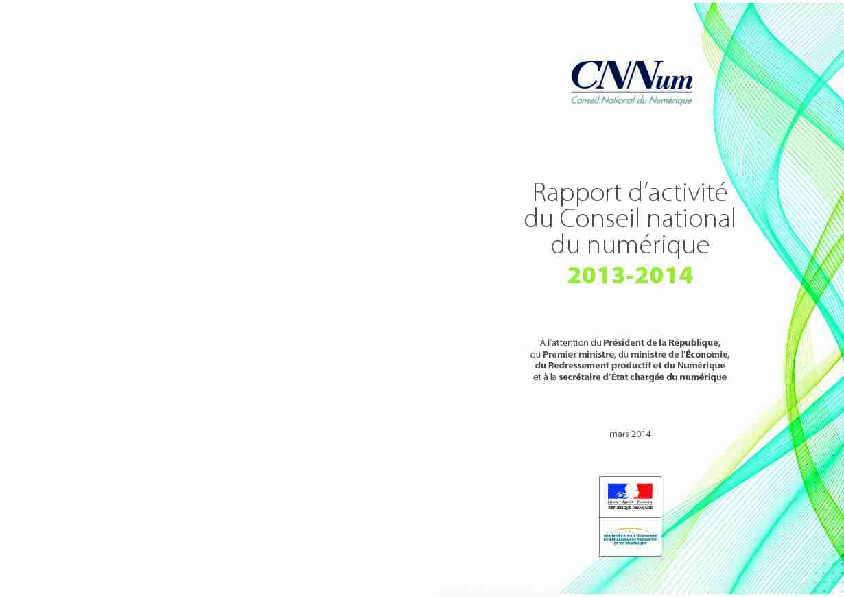 Rapport dactivité du Conseil national du numérique 2013-2014