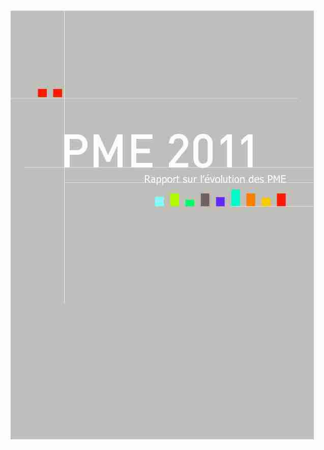 Rapport sur lévolution des PME