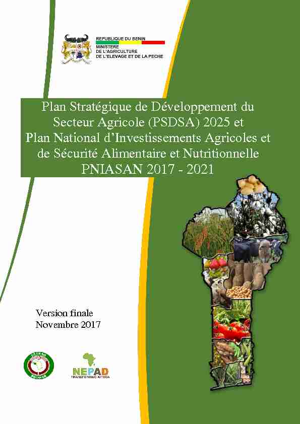 Plan Stratégique de Développement du Secteur Agricole (PSDSA