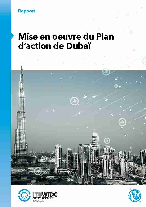 Rapport sur la mise en oeuvre du Plan daction de Dubaï