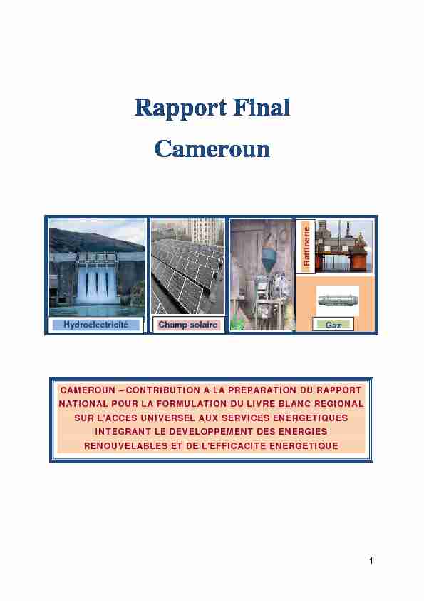 Rapport Final Cameroun