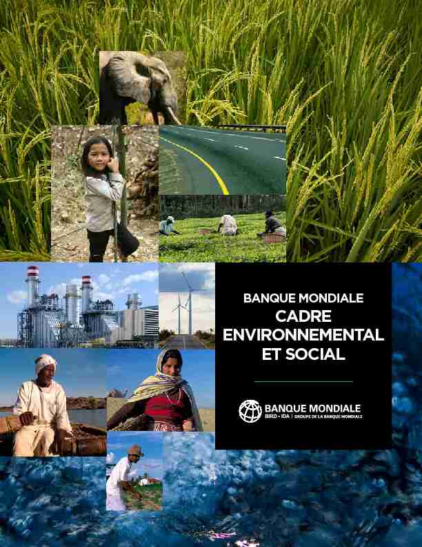 banque mondiale - cadre environnemental et social