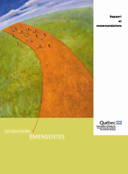 Les solutions émergentes - Rapport et recommandations