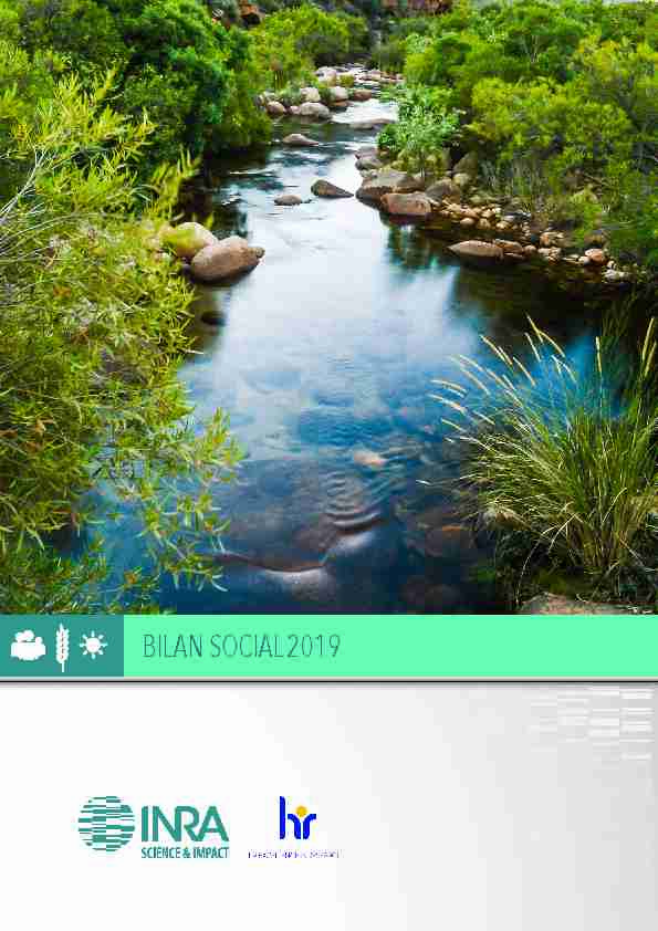 BILAN SOCIAL 2019