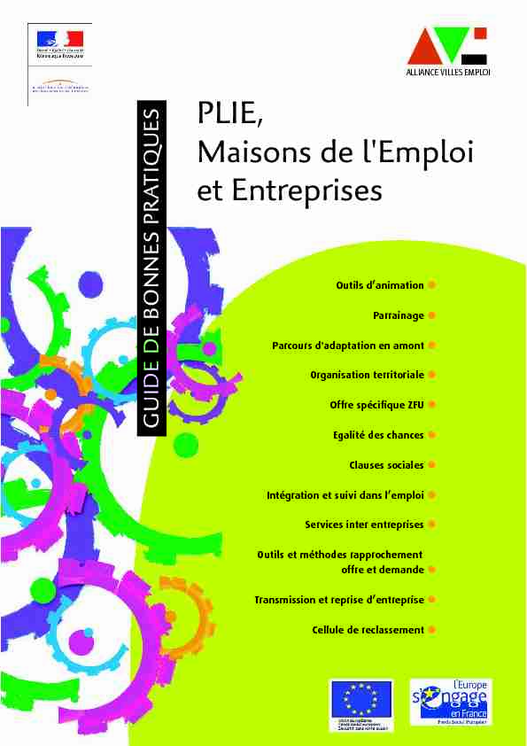 [PDF] PLIE, Maisons de lEmploi et Entreprises - CNLE