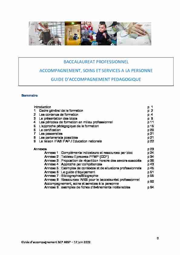 BACCALAUREAT PROFESSIONNEL ACCOMPAGNEMENT SOINS