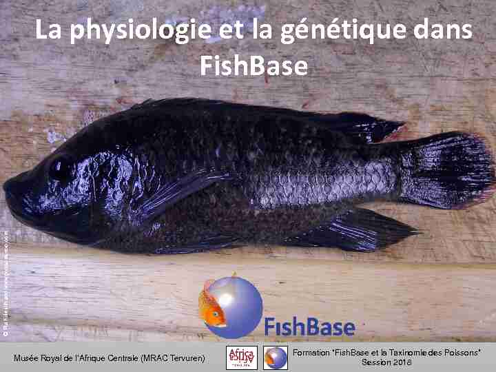 La physiologie et la génétique dans FishBase