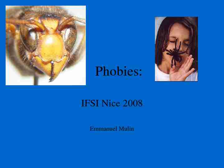 Phobies: IFSI Nice 2008 - Psycha Analyse