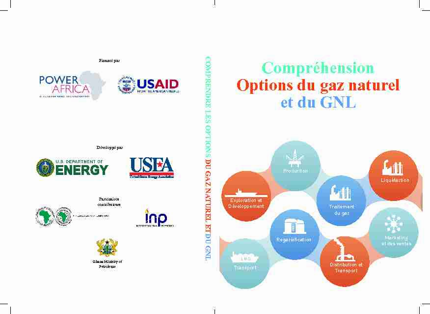 Compréhension Options du gaz naturel et du GNL