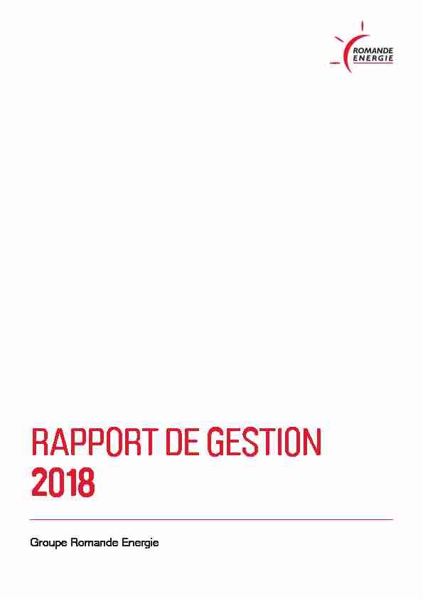 rapport-de-gestion-2018.pdf