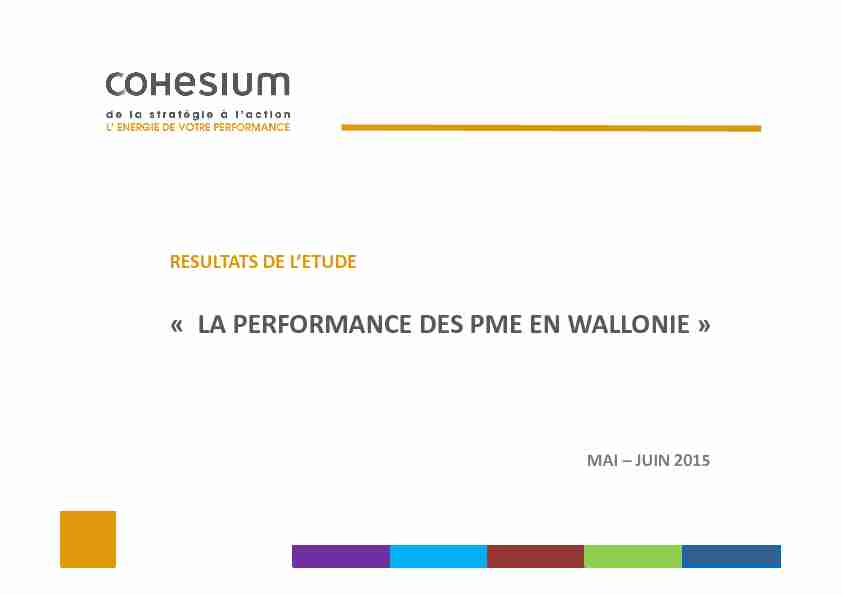 [PDF] « LA PERFORMANCE DES PME EN WALLONIE » - Cohesium
