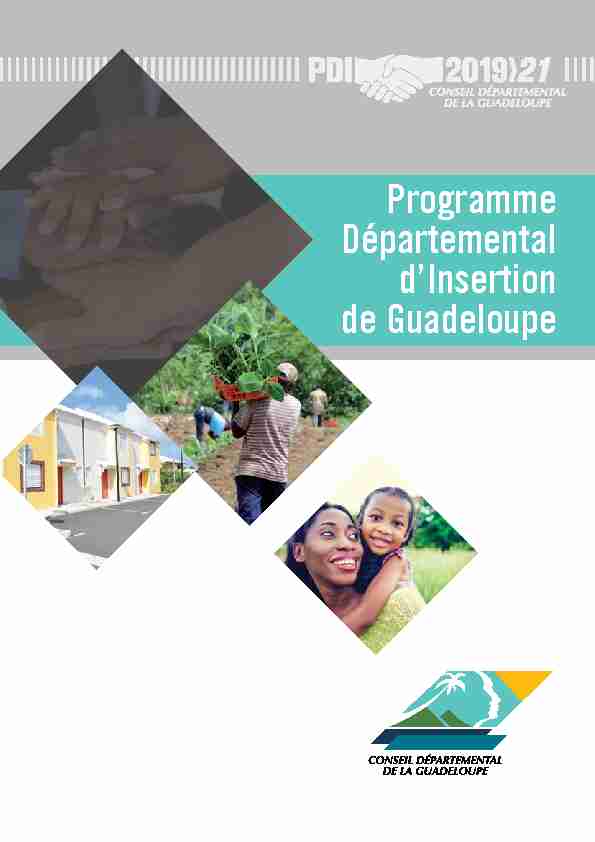 Programme Départemental dInsertion de Guadeloupe