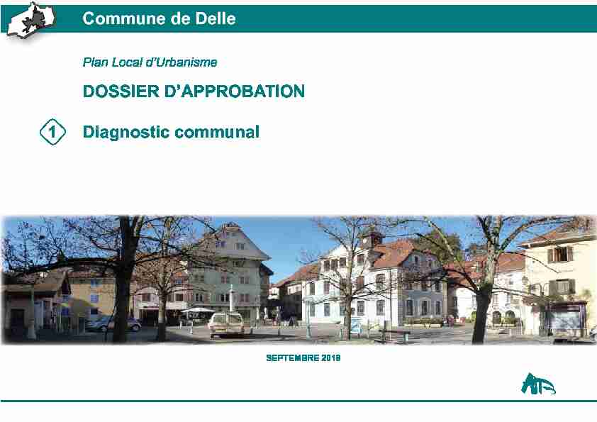 Diagnostic communal Commune de Delle DOSSIER D