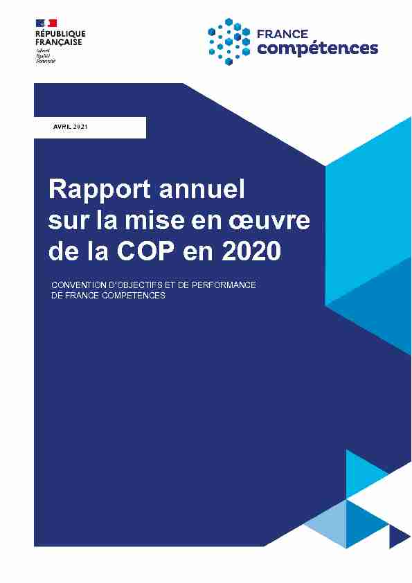 Rapport annuel sur la mise en œuvre de la COP en 2020