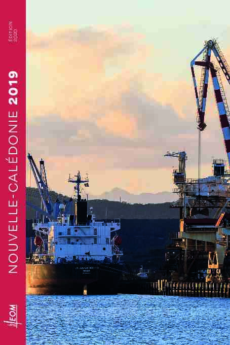 Rapport dactivité 2019 de la Nouvelle-Calédonie