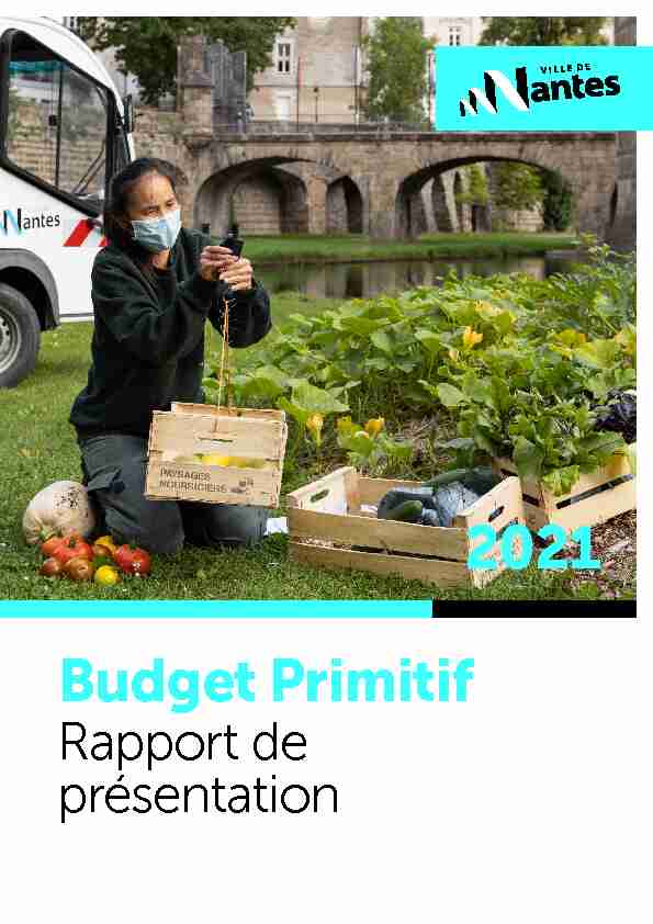 Budget Primitif 2021