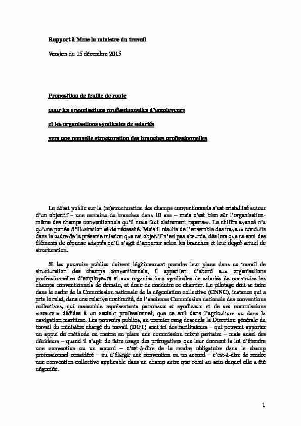 [PDF] Eléments pour le rapport - Ministère du Travail