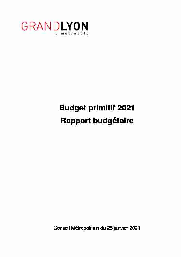 Budget primitif 2021 - Rapport budgétaire
