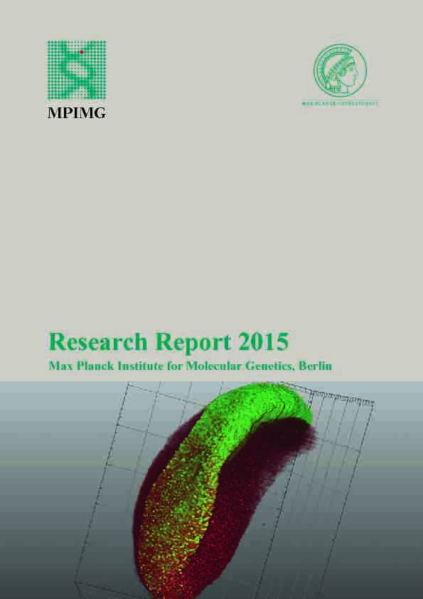 Research Report 2015