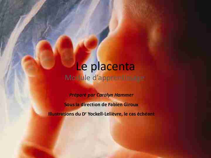 Le placenta – module dapprentissage