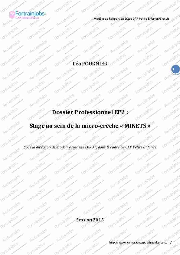 Dossier Professionnel Ep2 Stage Au Sein De La Micro Crèche 