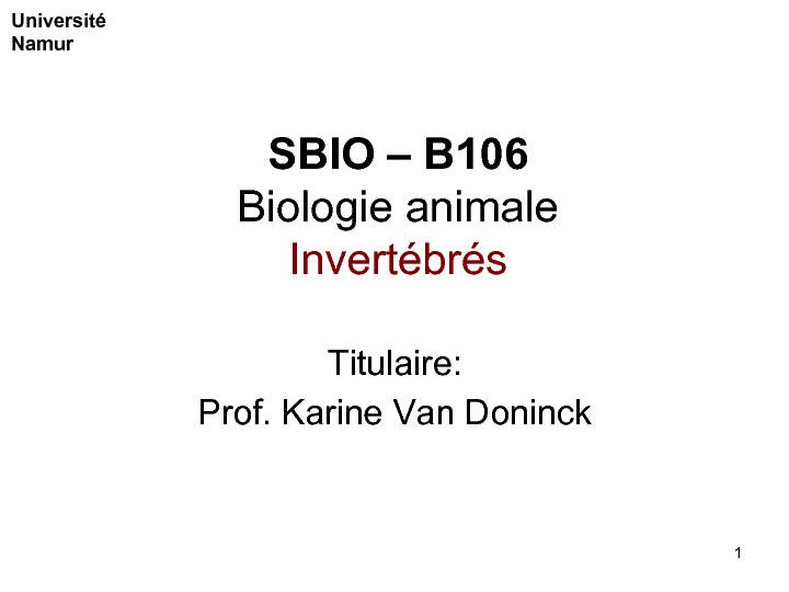 SBIO – B106 Biologie animale Invertébrés