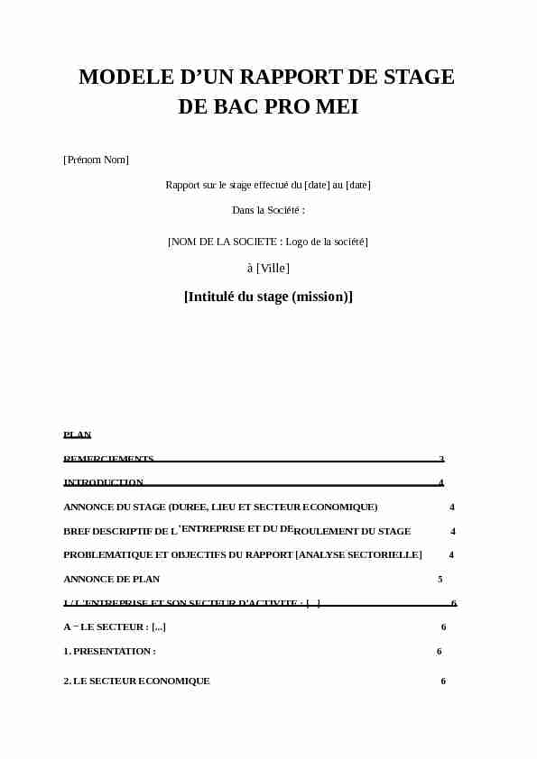 [PDF] MODELE DUN RAPPORT DE STAGE DE BAC PRO MEI