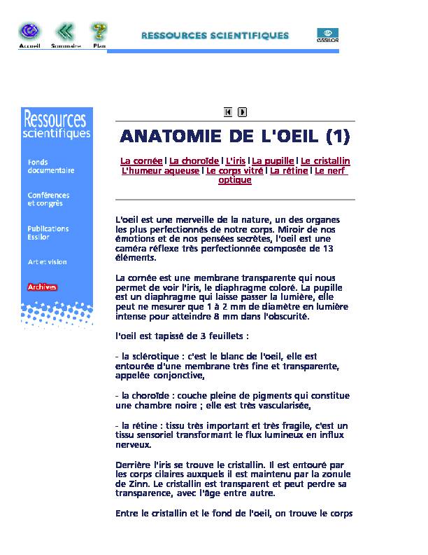 ANATOMIE DE LOEIL (1)