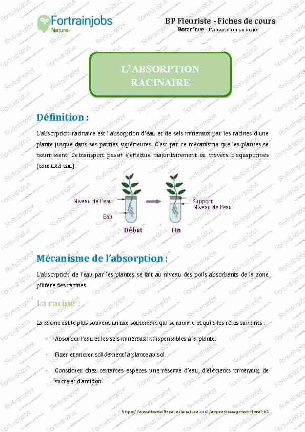 Définition : Mécanisme de labsorption : LABSORPTION RACINAIRE
