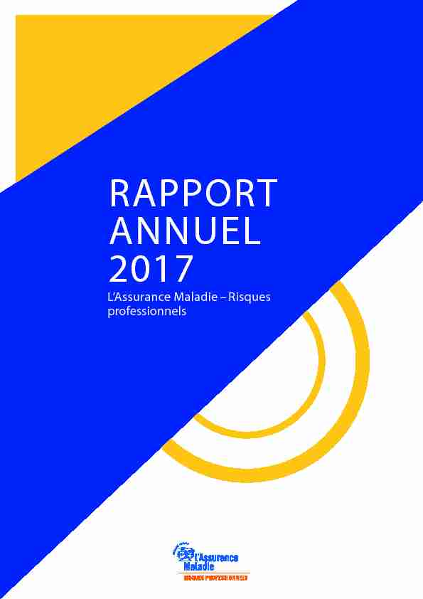 RAPPORT ANNUEL 2017 - Ameli