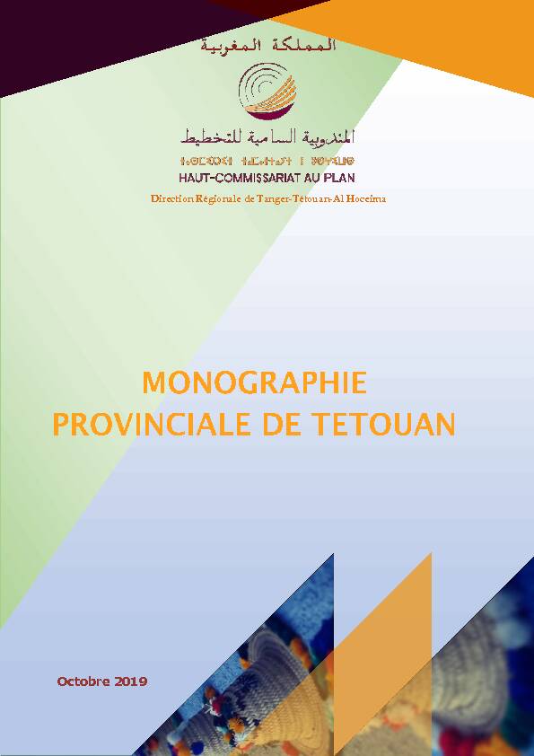 [PDF] Monographie Tétouan 2019pdf - HCP