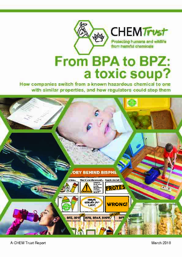 [PDF] From BPA to BPZ: a toxic soup? - EU Agenda