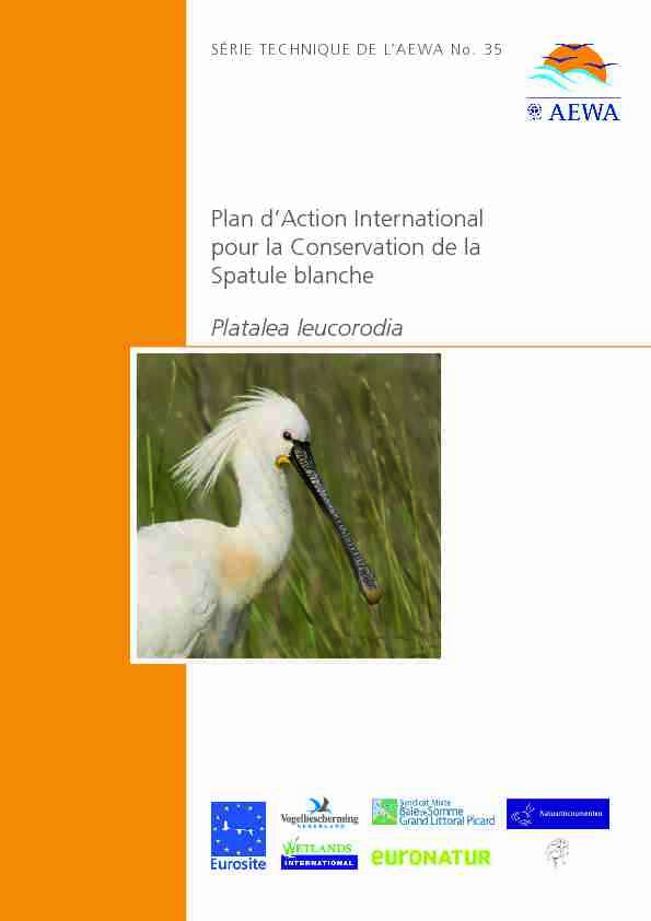 Plan dAction International pour la Conservation de la Spatule